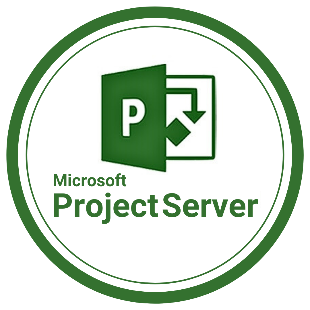 Microsoft Project Server