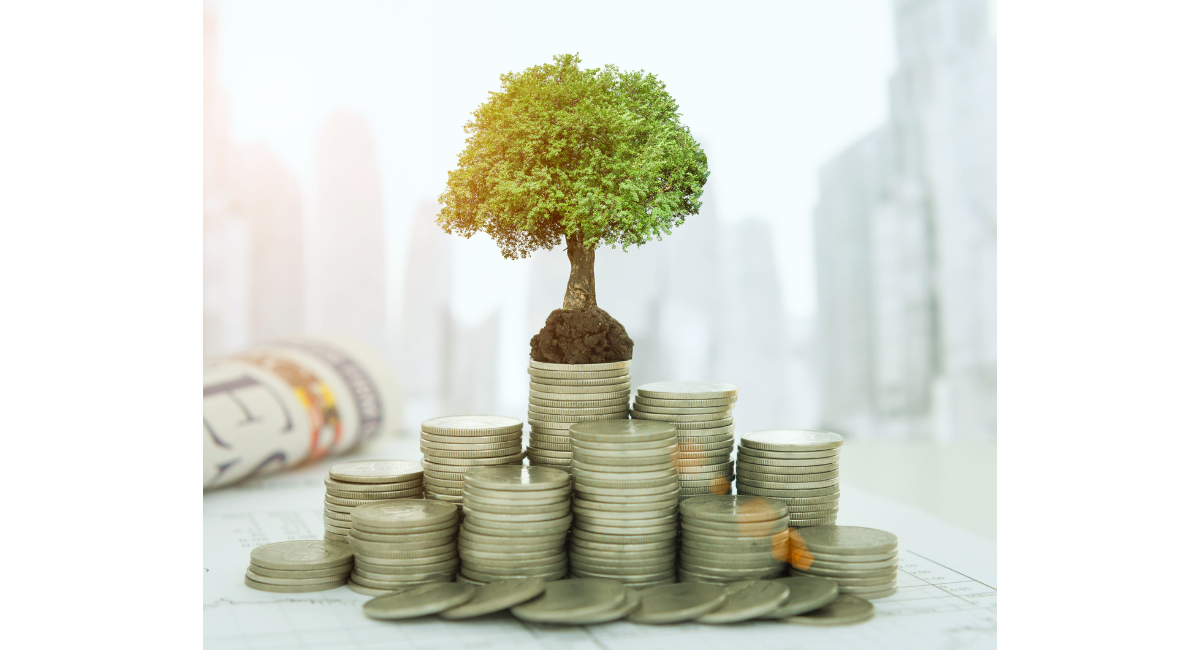 آیا هوش تجاری ارزش سرمایه‌گذاری دارد؟